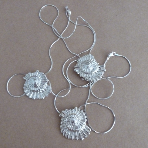 Ammonite
