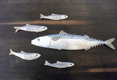 Sprat to catch a Mackerel